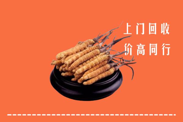 高价求购：驿城区回收散虫草